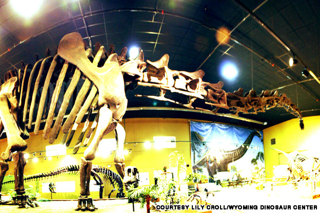 10 viện bảo t&agrave;ng khủng long r&ugrave;ng rợn nhất